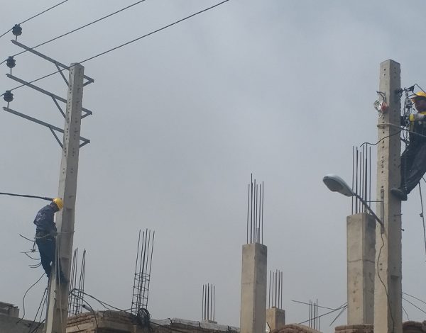 خودنگهدار روستاهای ملکان (1)